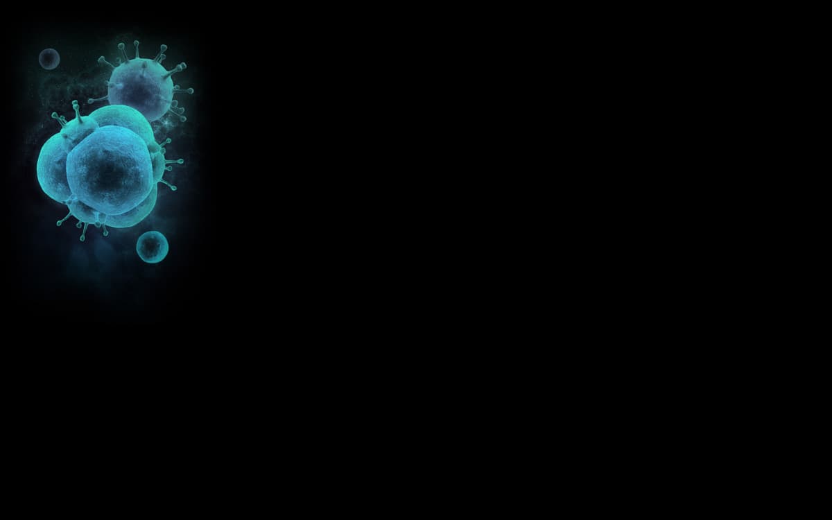 Virus