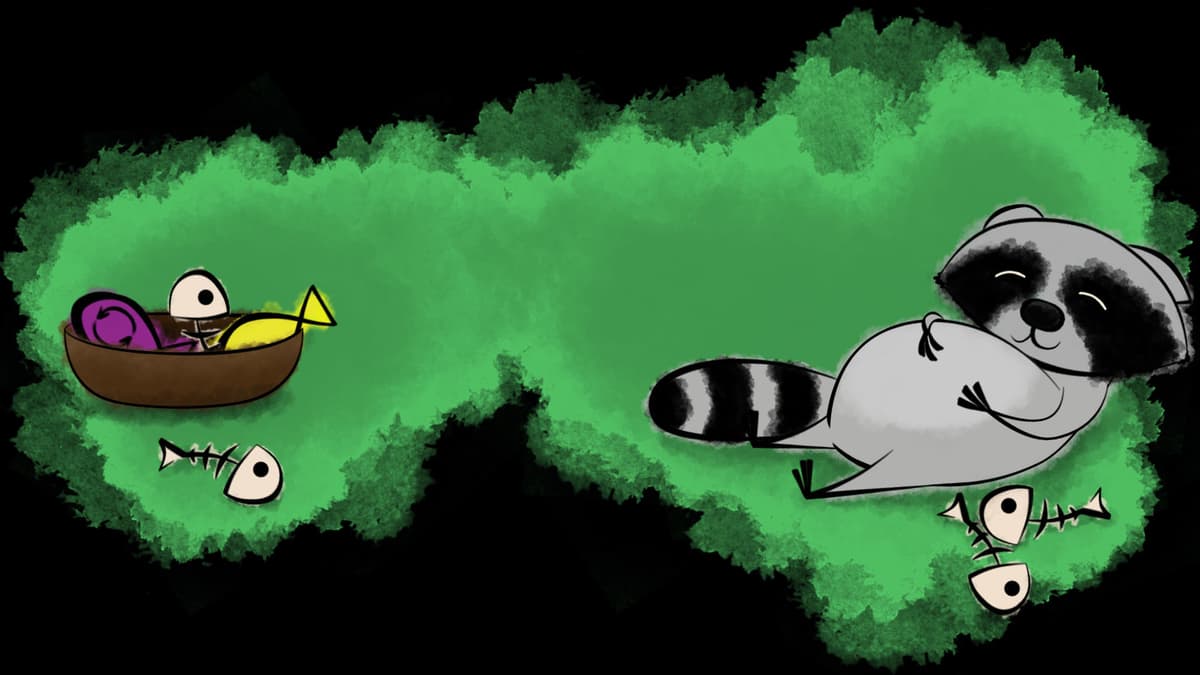 Fat Raccoon