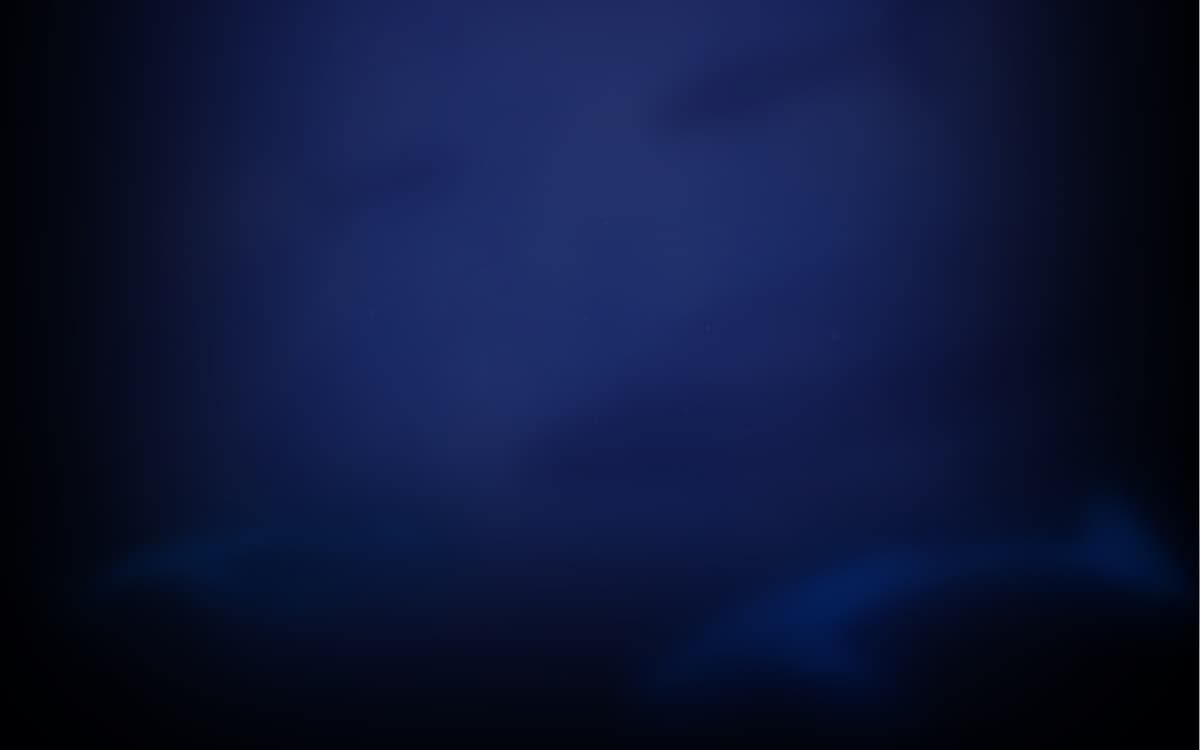 Ocean