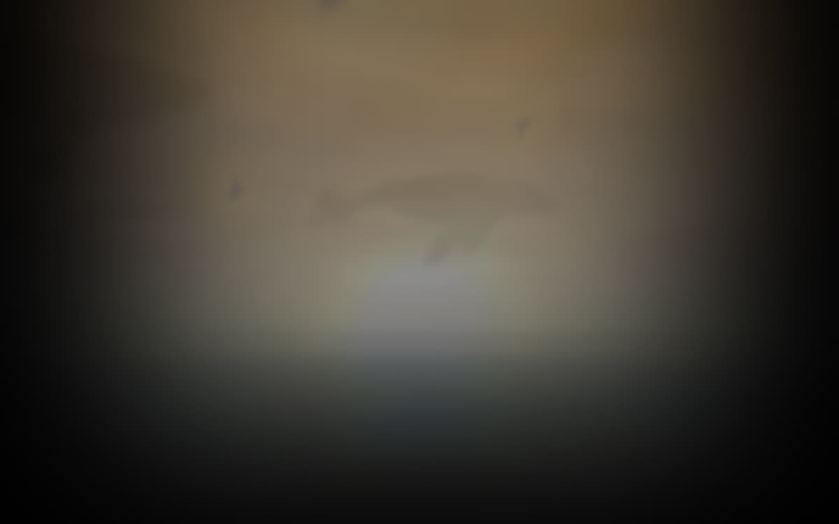 Sea