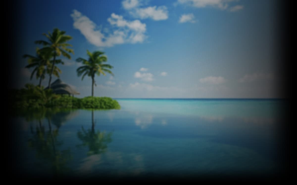 Palms on the shore