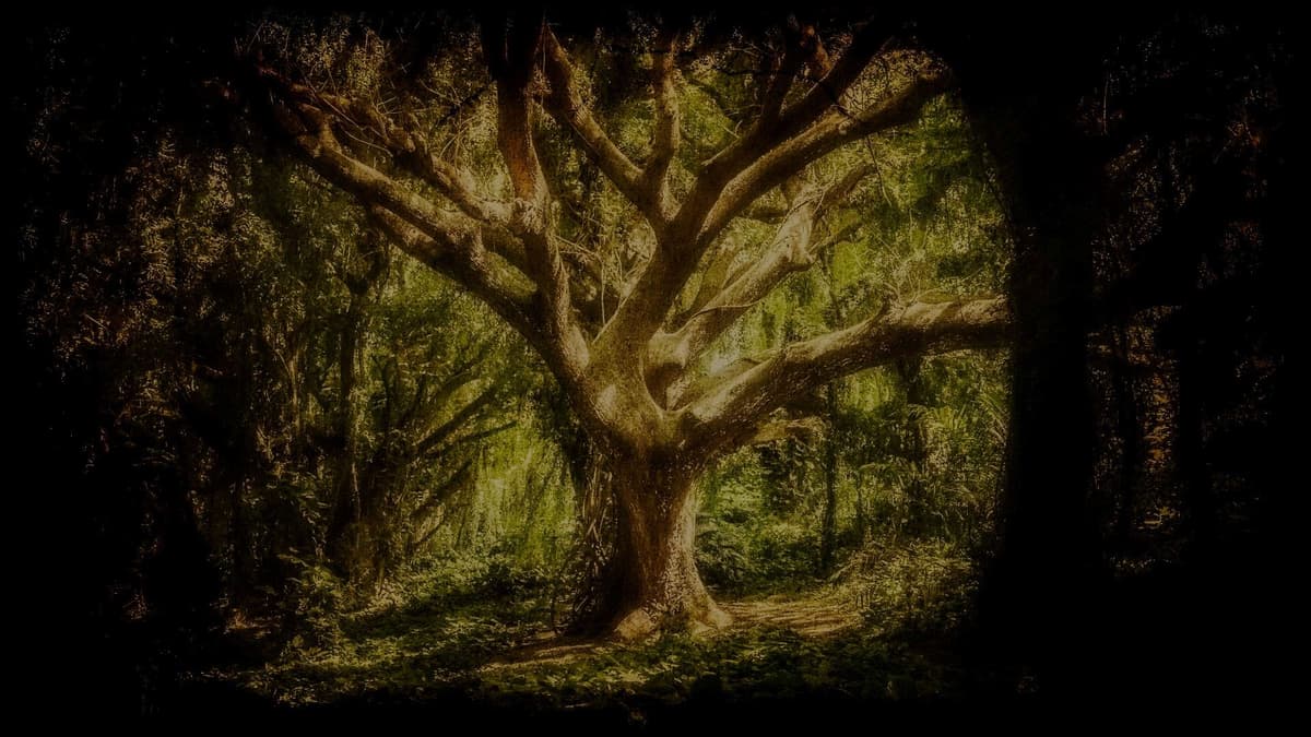 Nature (Profile Background)