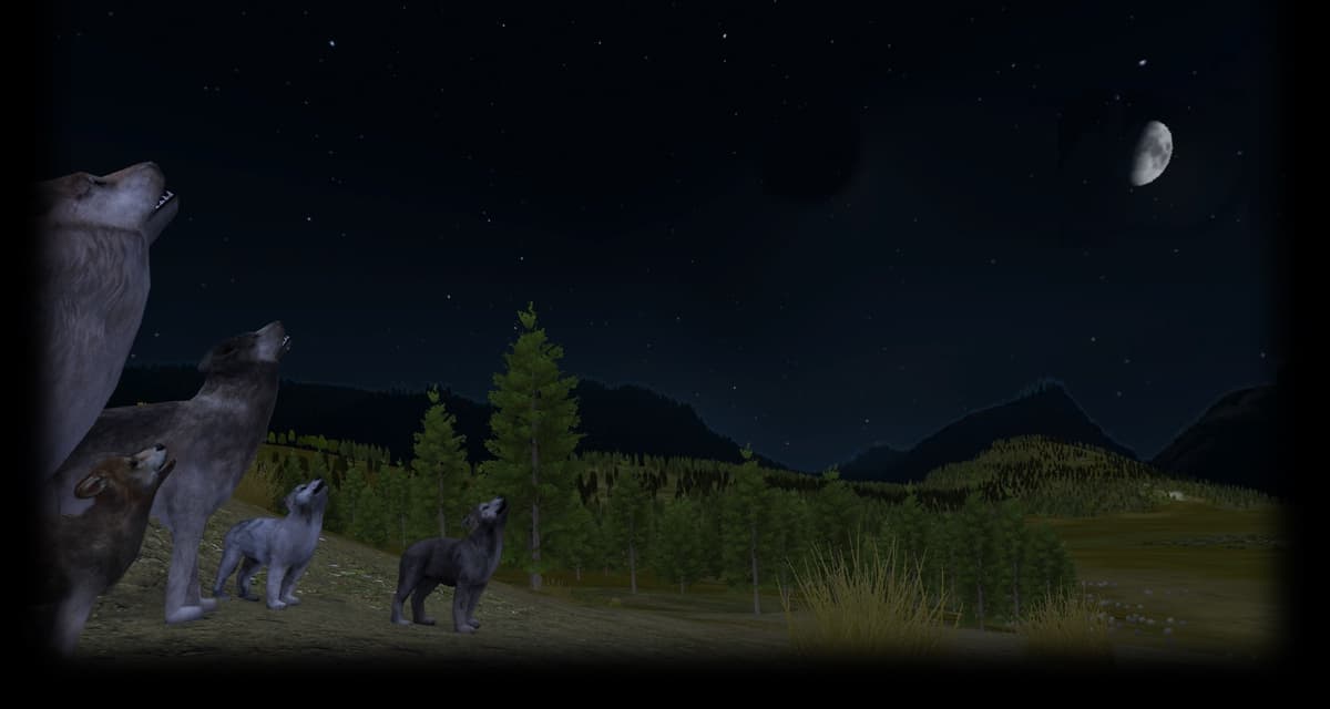 Slough Creek Howl