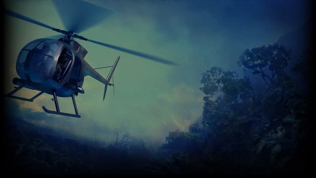 Littlebird over the jungle