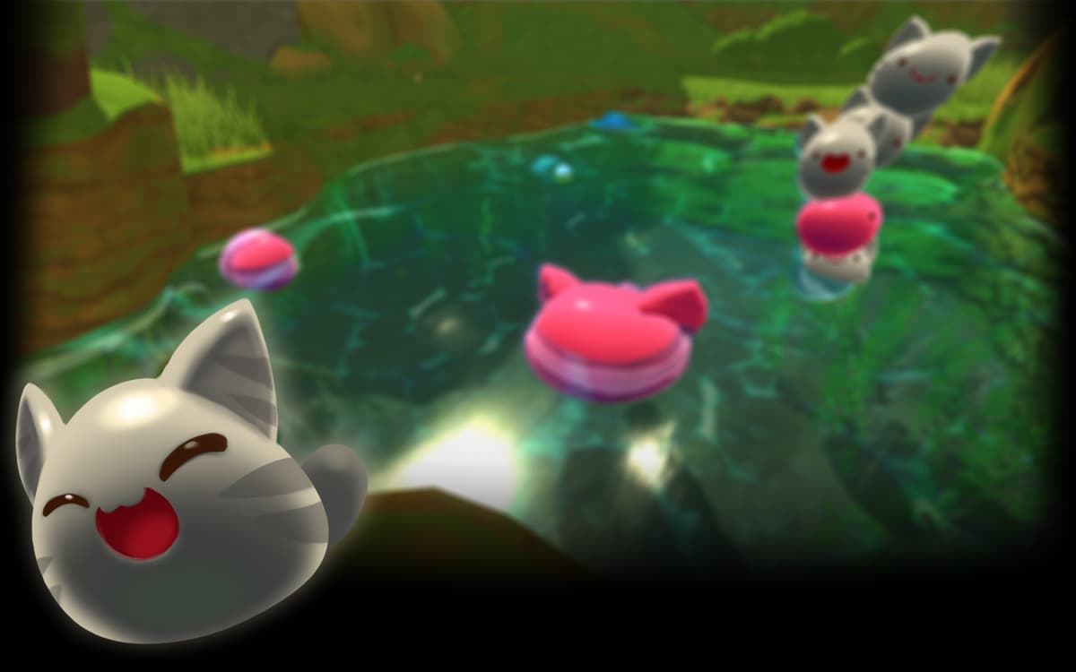 Tabby Bath