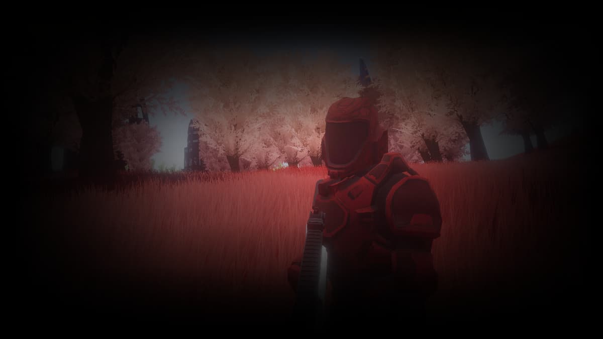 SNA Soldier