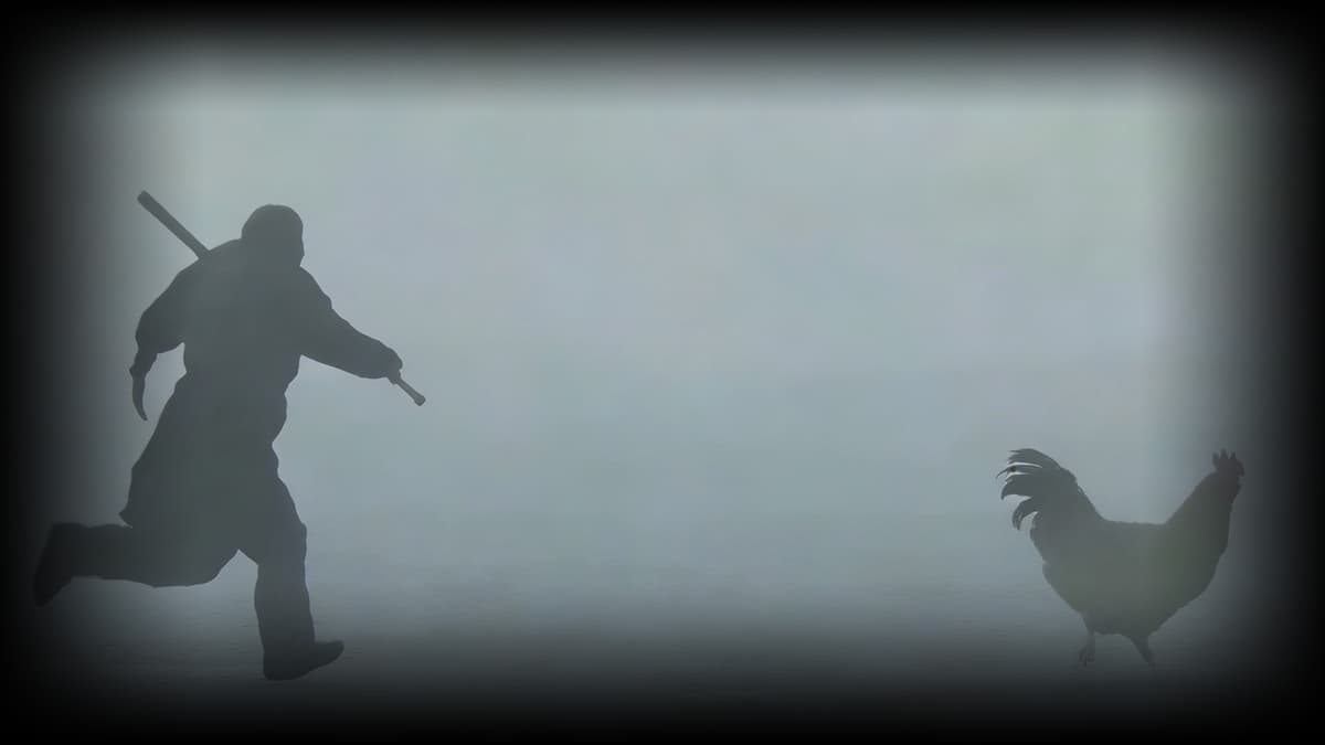 I‘m a lost chicken