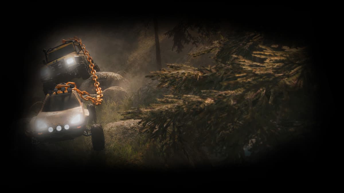 Dark Forest