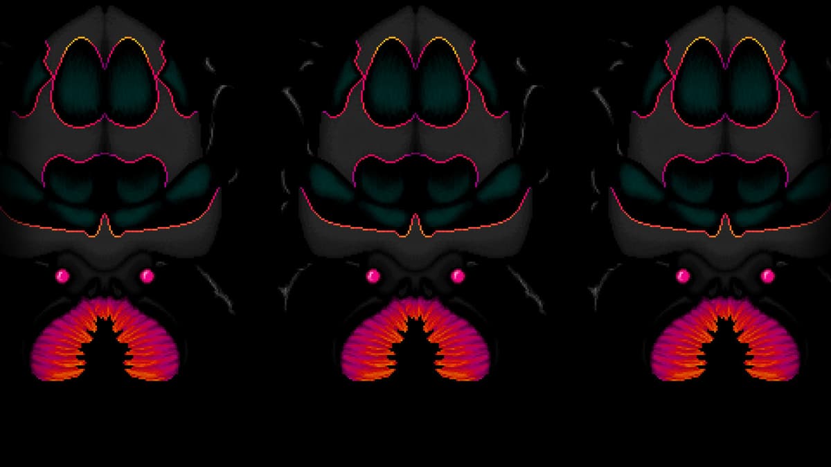 Space Moth DX - Toothbrush Beetles