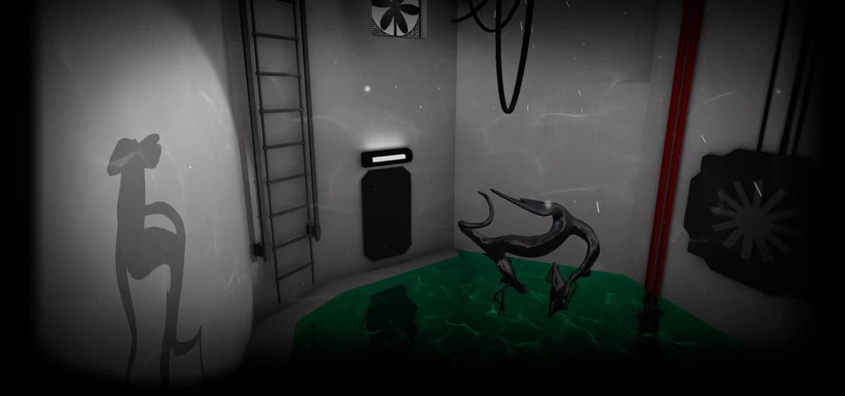 The shadows room