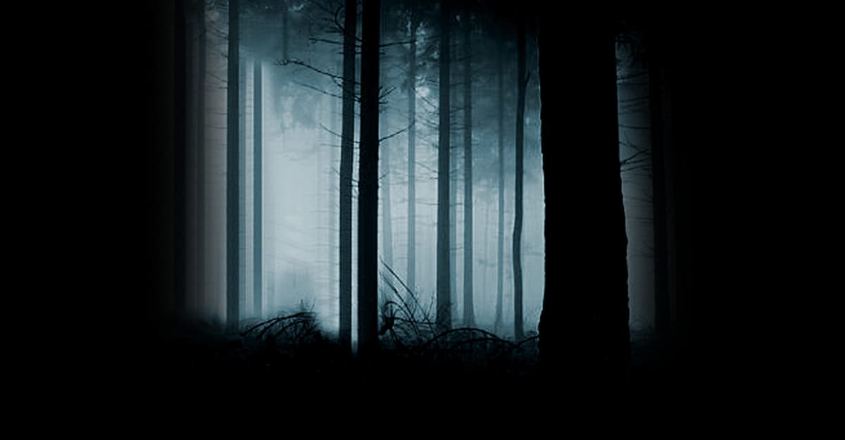 Woods