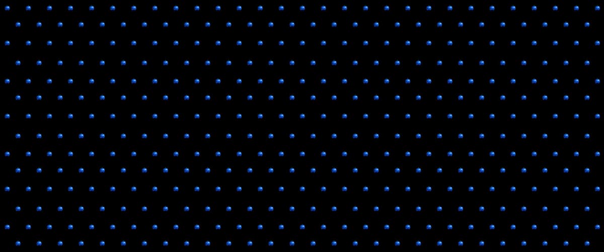 Blueberries