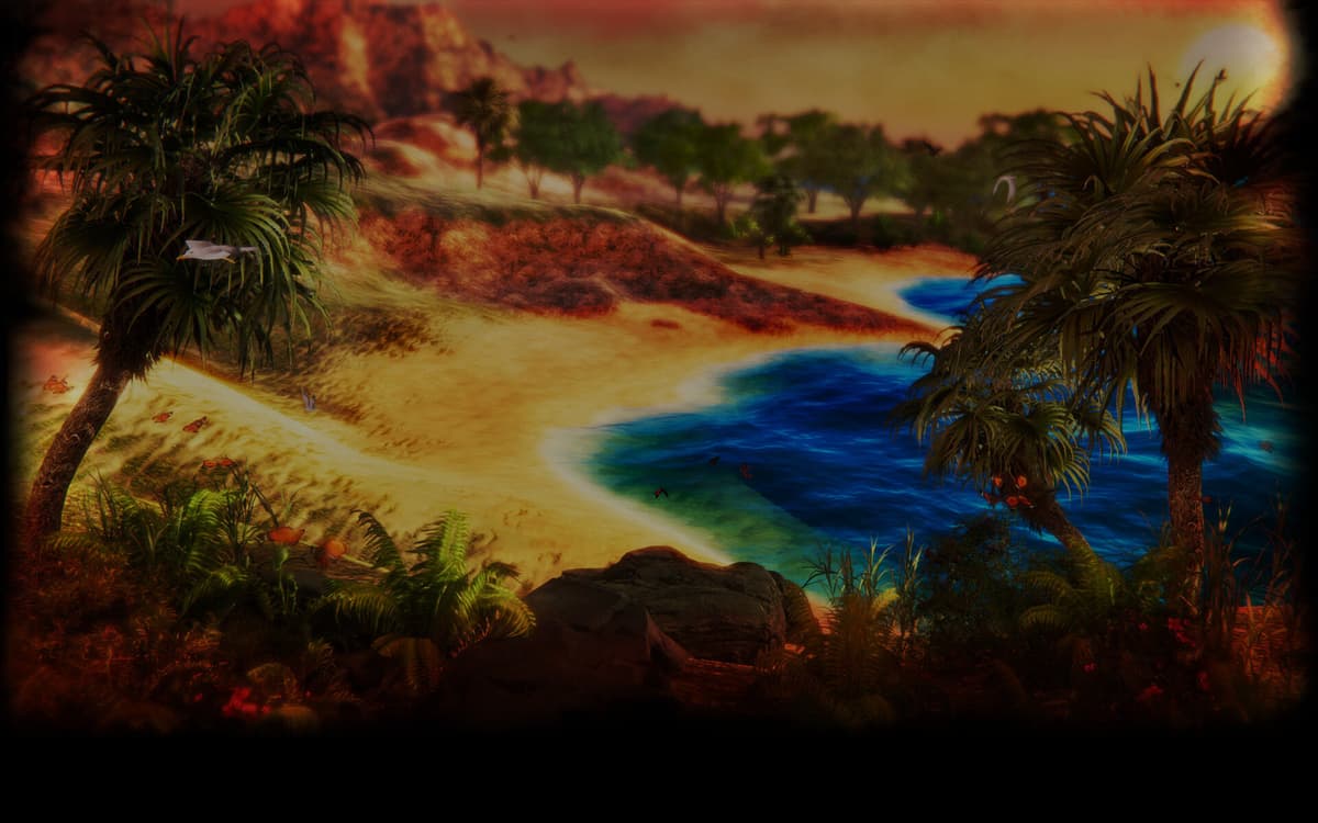 Paradise Beach (Profile Background)
