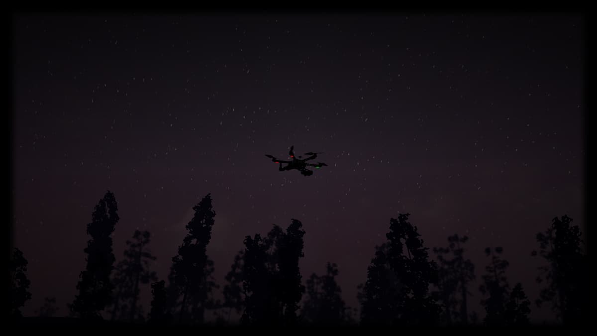 At night over the forest