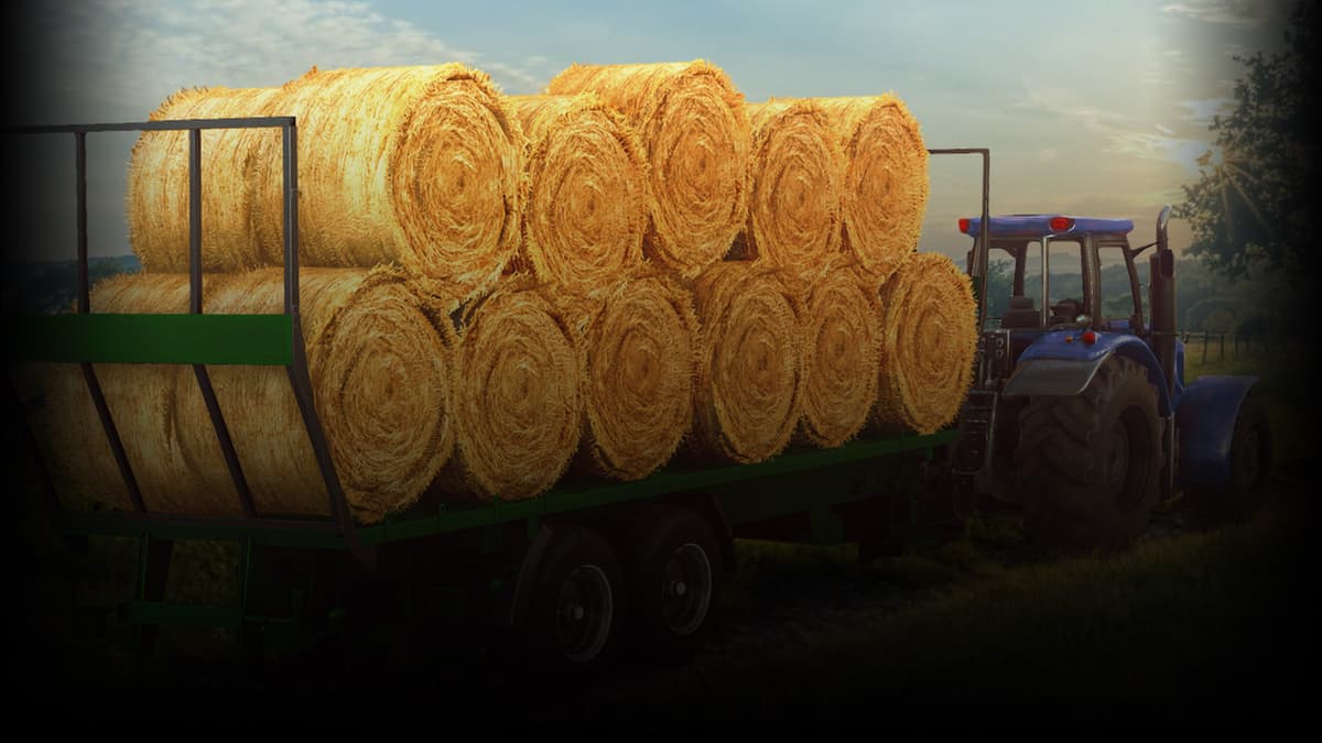 Trailer for bales