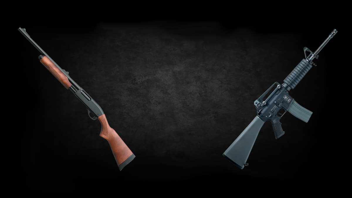 Shotgun & M16