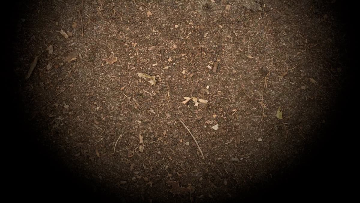 Dirt (Profile Background)