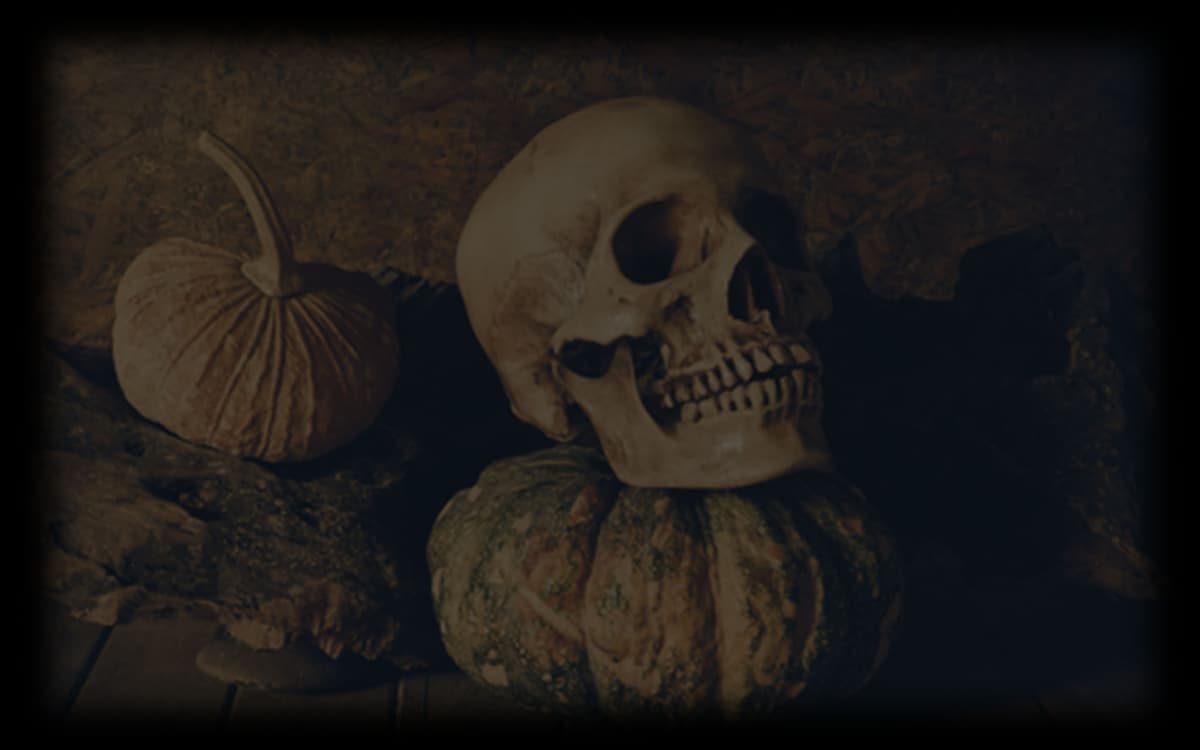 Halloween Fun