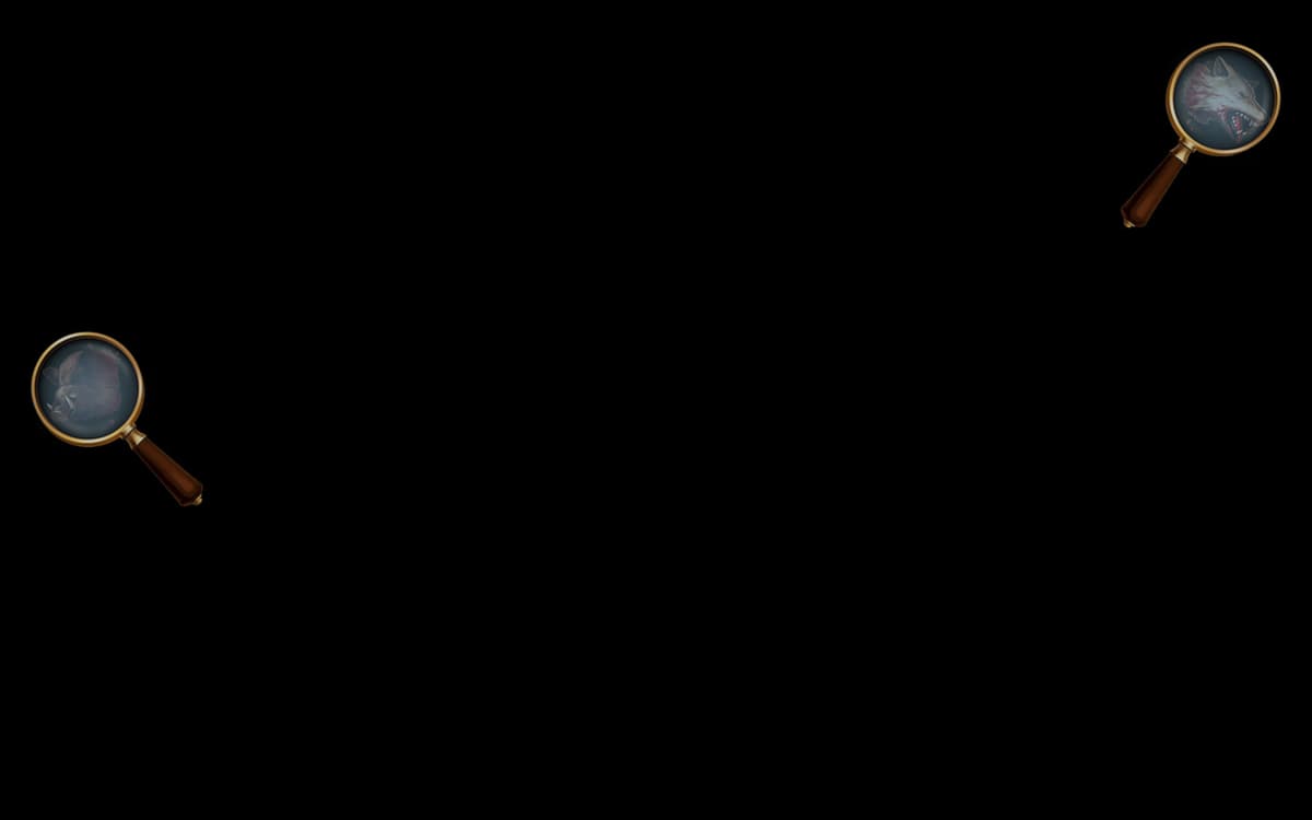 Magnifier (Profile Background)
