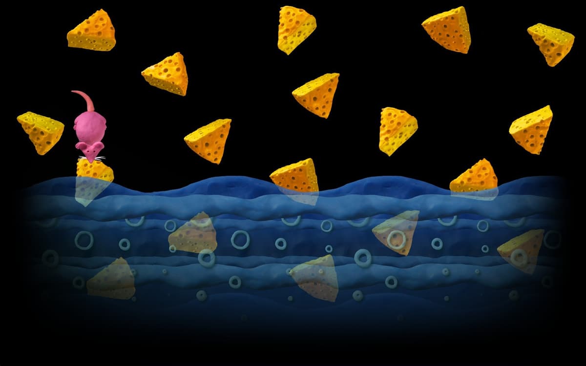 The Raining Cheeses