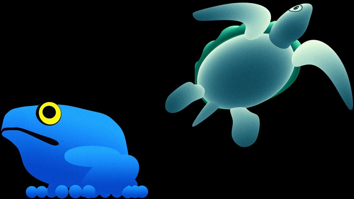 The Frog and the Turtle