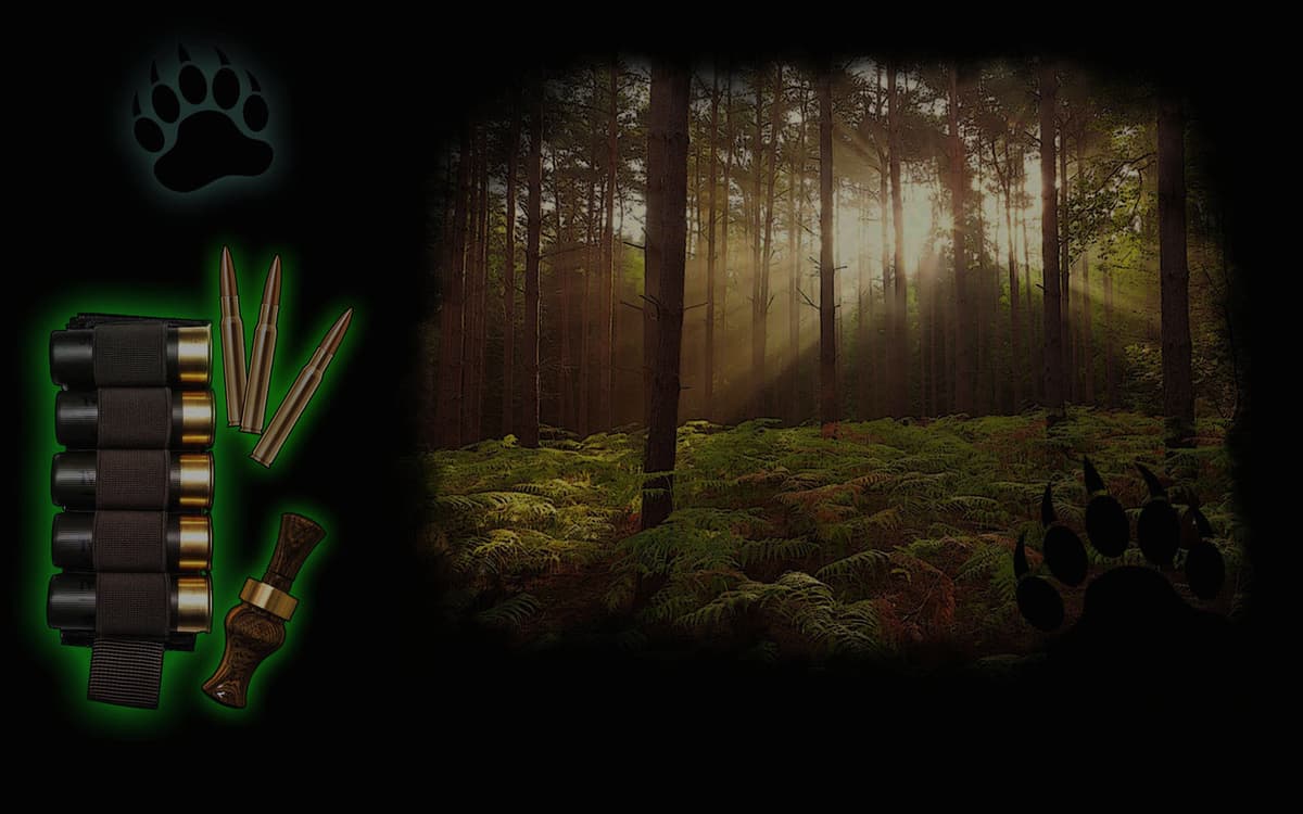 'If you go down to the woods today...'