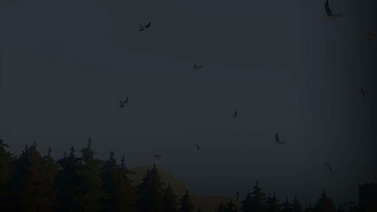 forest