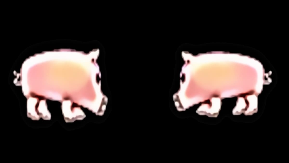 Pig BG