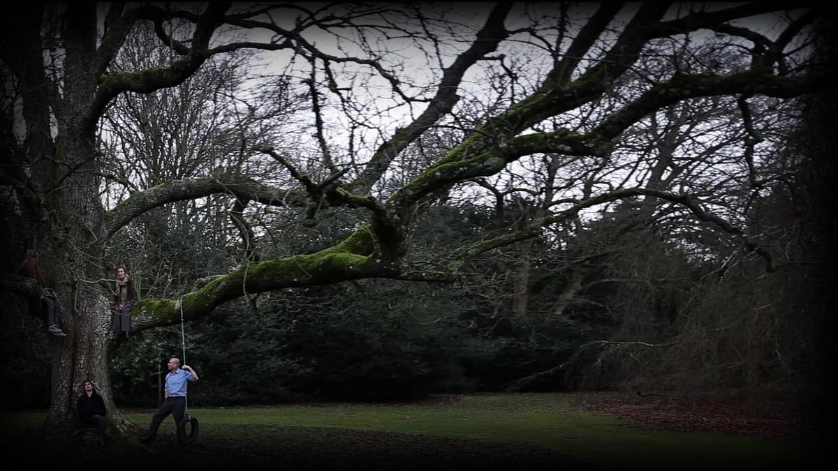 The Special Tree