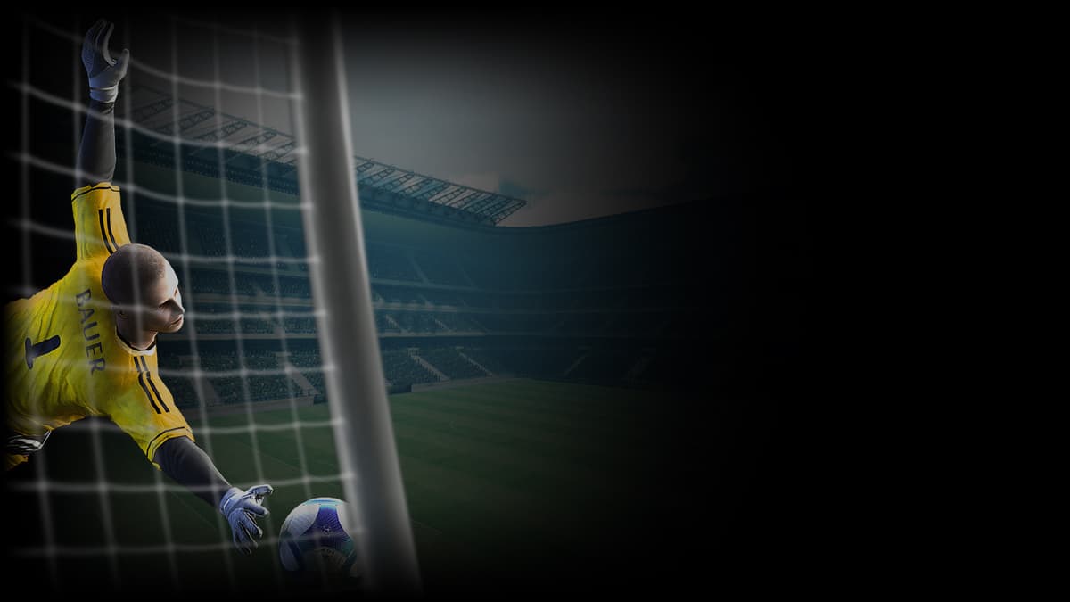 Final Goalie background 1