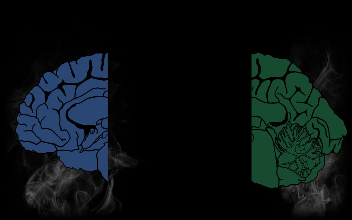 Your Mind