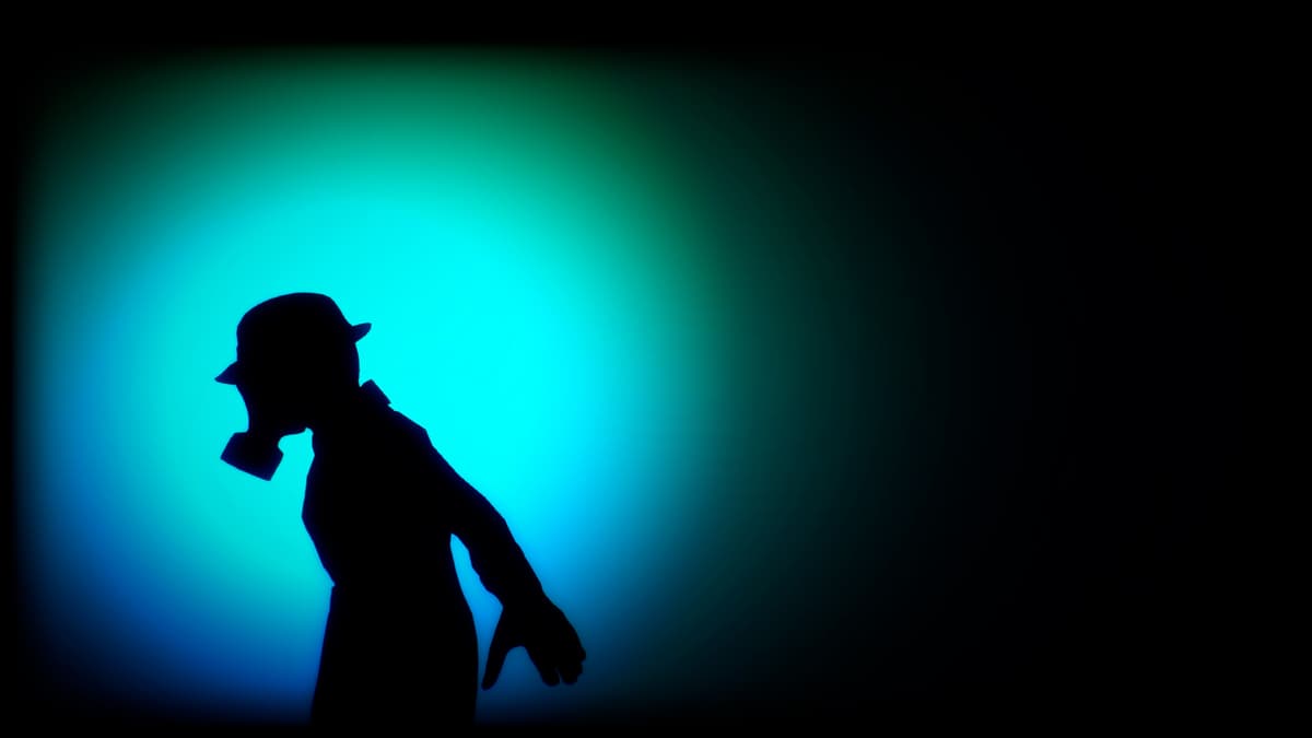 Shadow