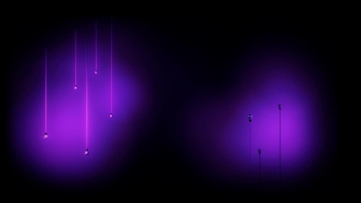 Light
