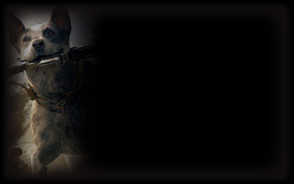 Boomer (Profile Background)