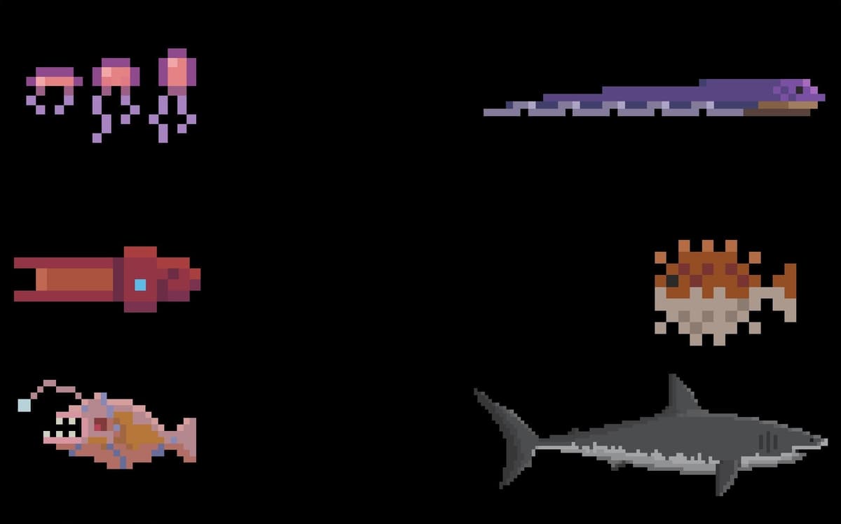 Dangerous sea life