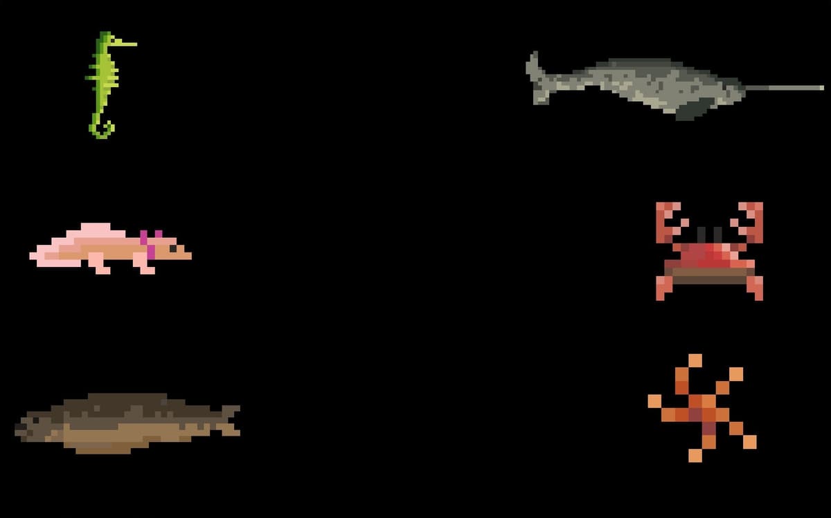 Friendly sea life