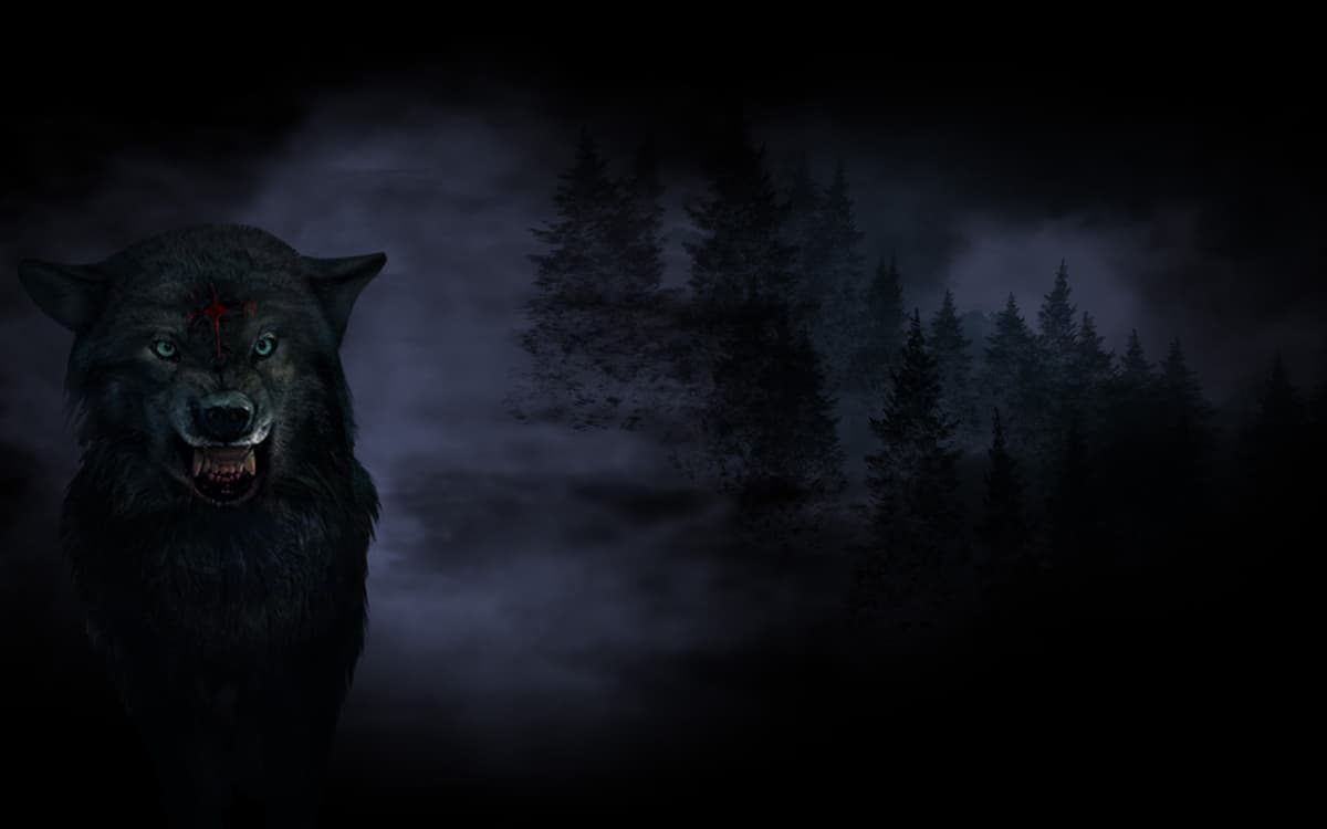Wolf (Profile Background)