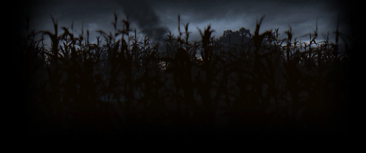 Cornfield