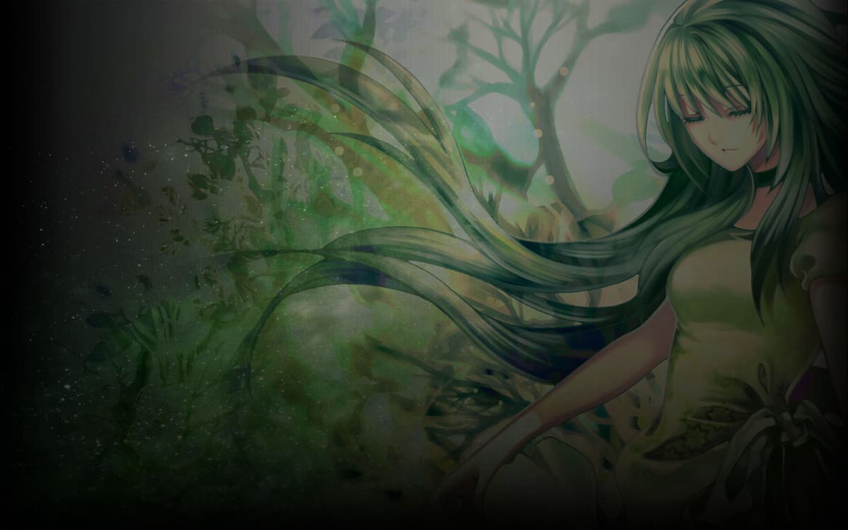 Llima (Profile Background)