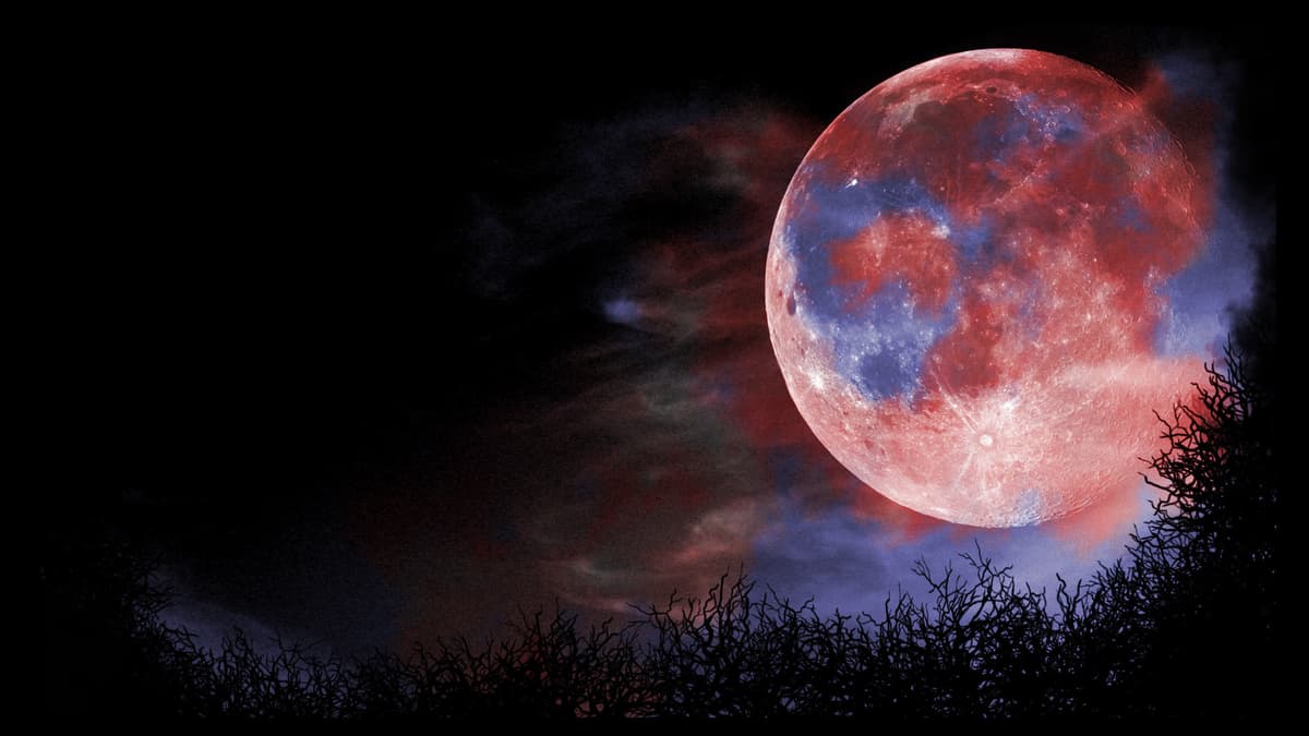 Creepy night