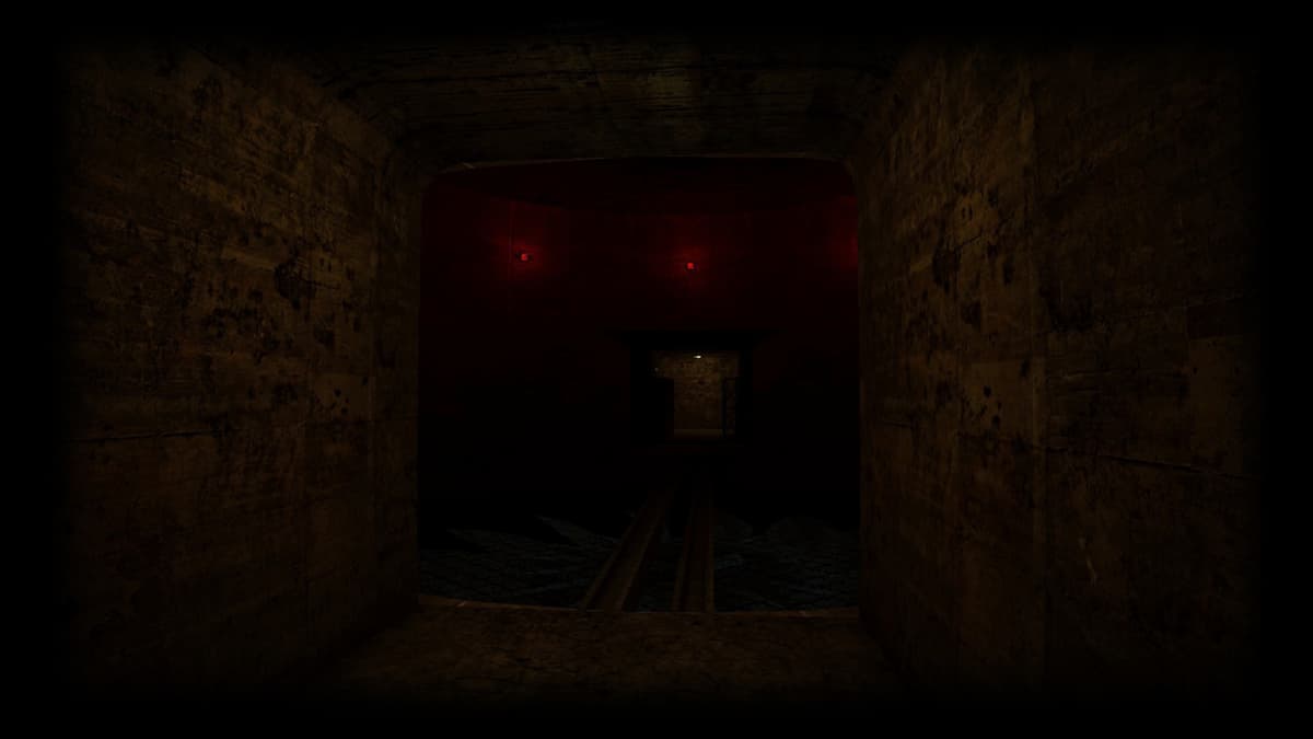 Dark Sector