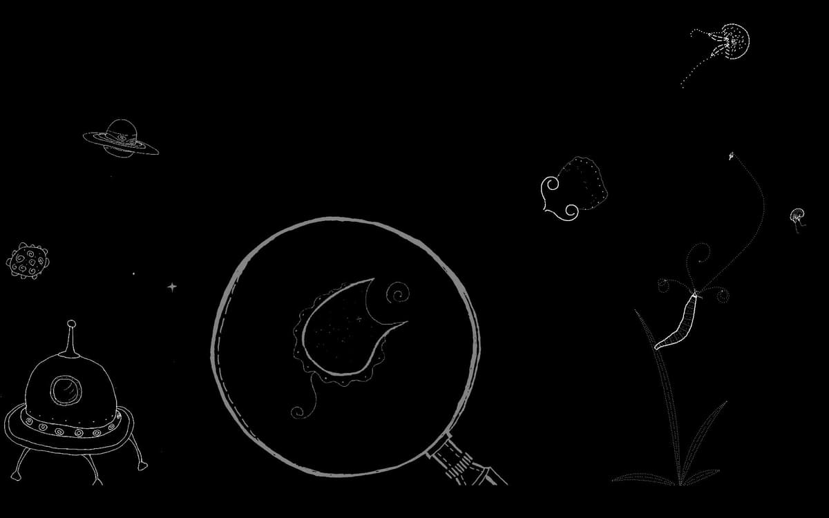 Plankton