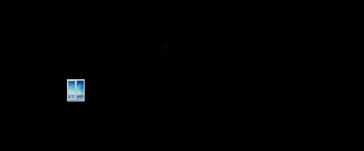 The window