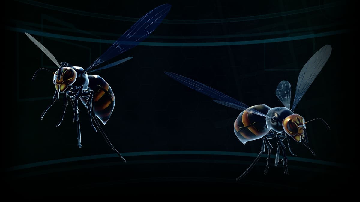 Giant flying insects