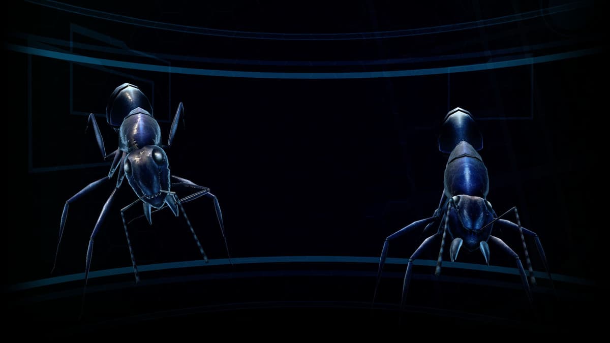 Giant insects
