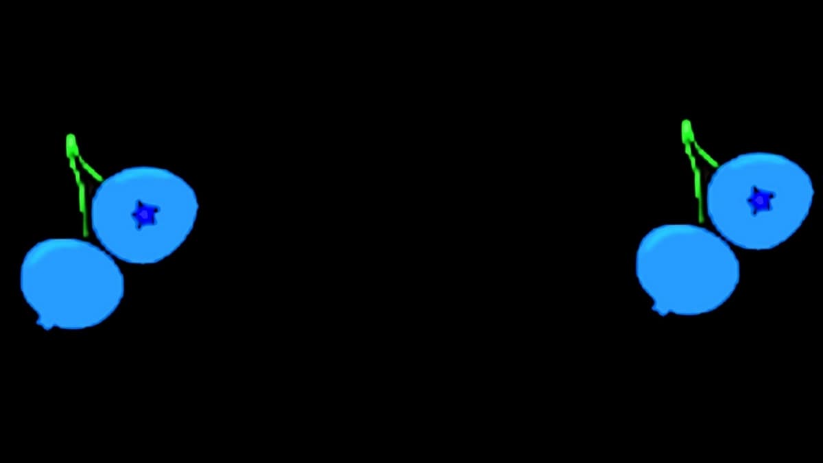 bg3