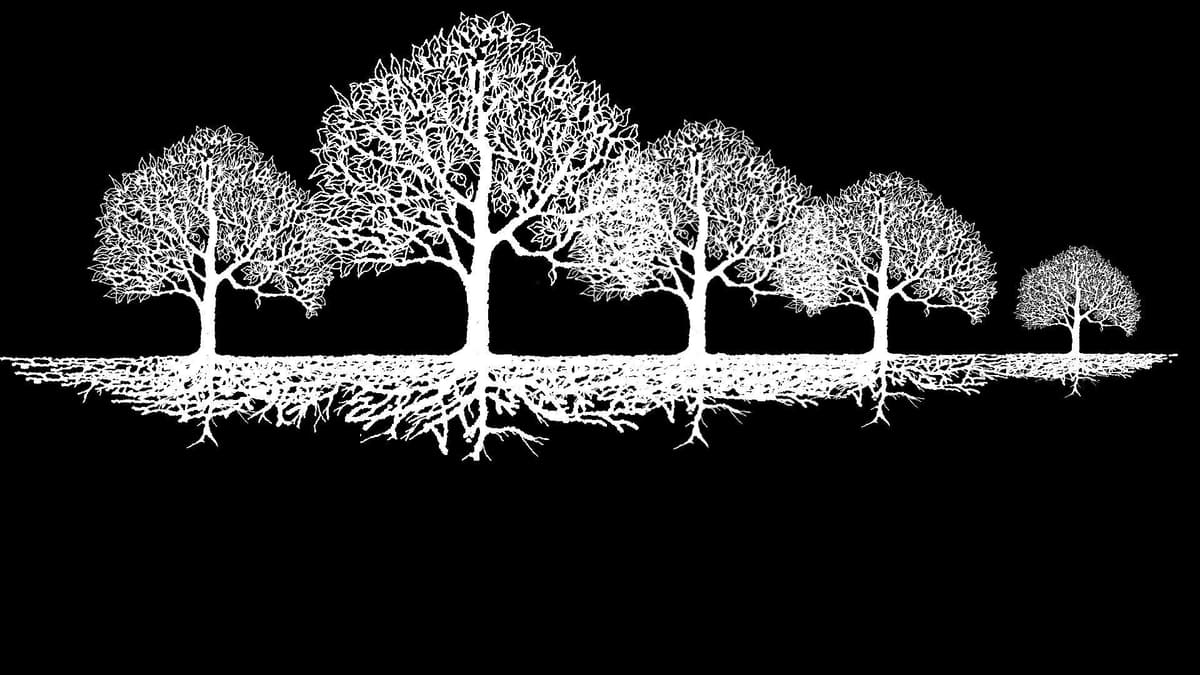 Trees