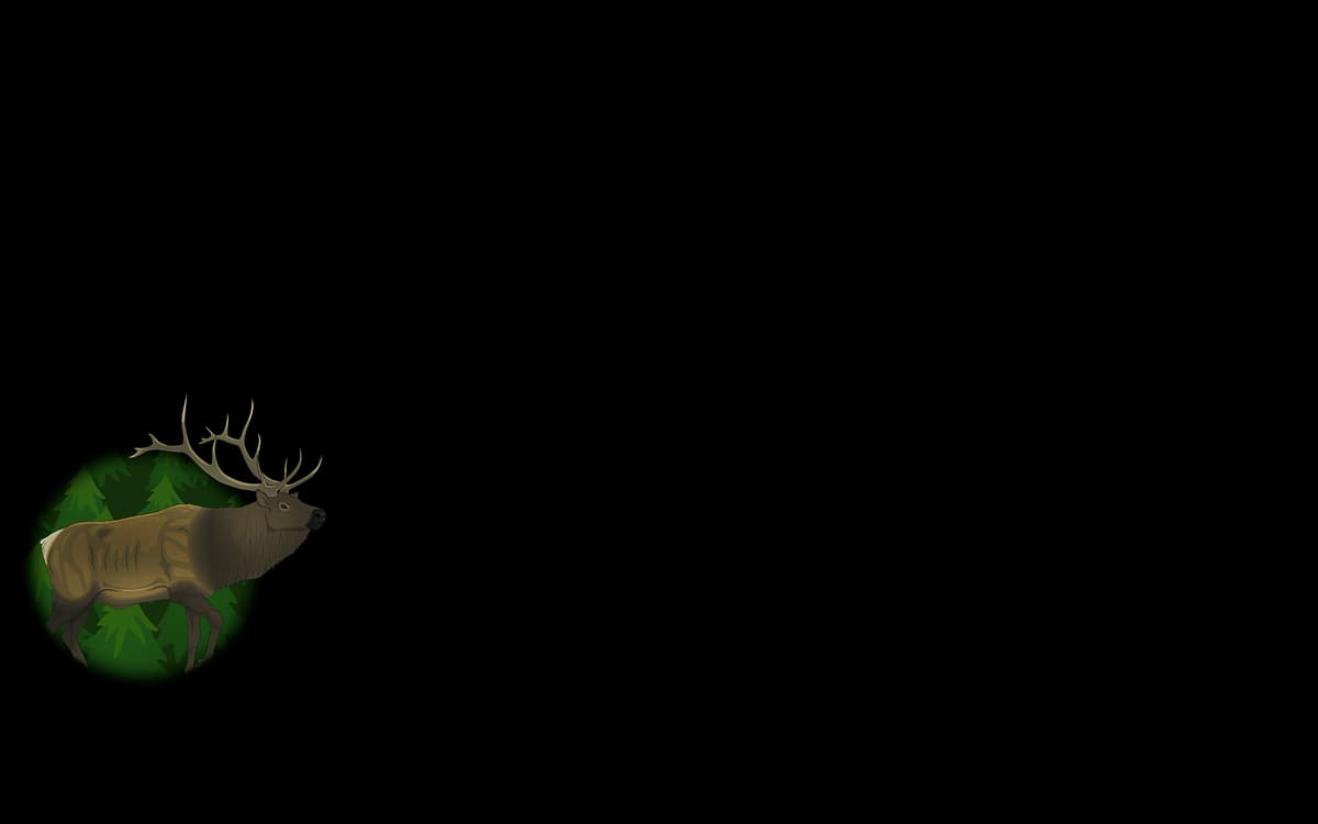 The Forest