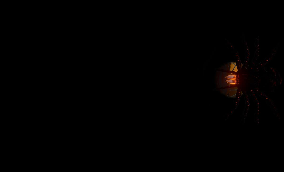 Spider (Profile Background)