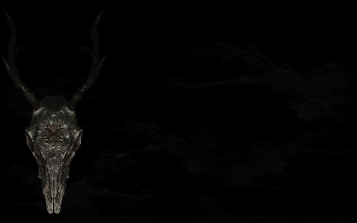 MASK 2